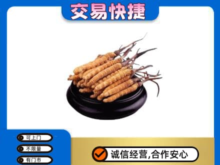 莱芜礼品回收散虫草.jpg